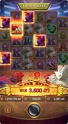 777wz · Rooster Rbl